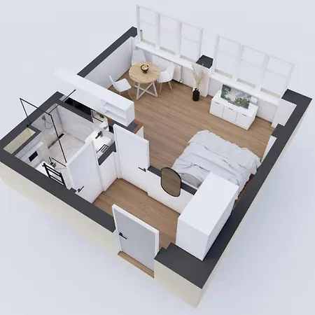 Historic Center Apartment Brno
